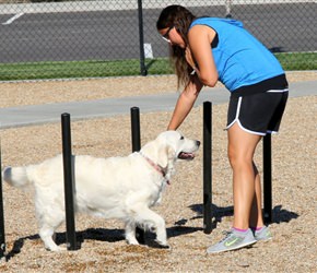 Flexible Weave Poles