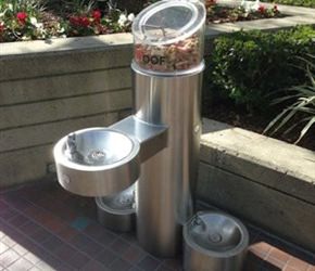 Pet Fountains