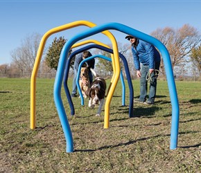 Play4Pups Weave Hoops